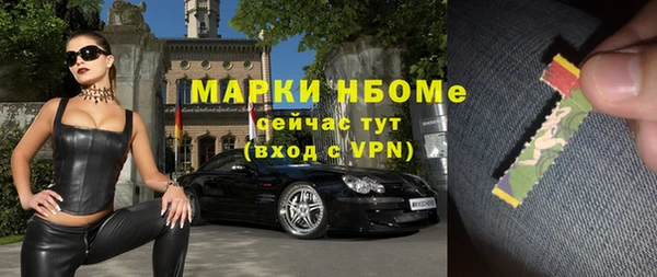 метадон Алексин